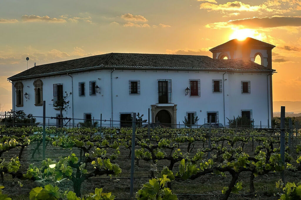 Finca - Cortijo Antequera Málaga - image 2