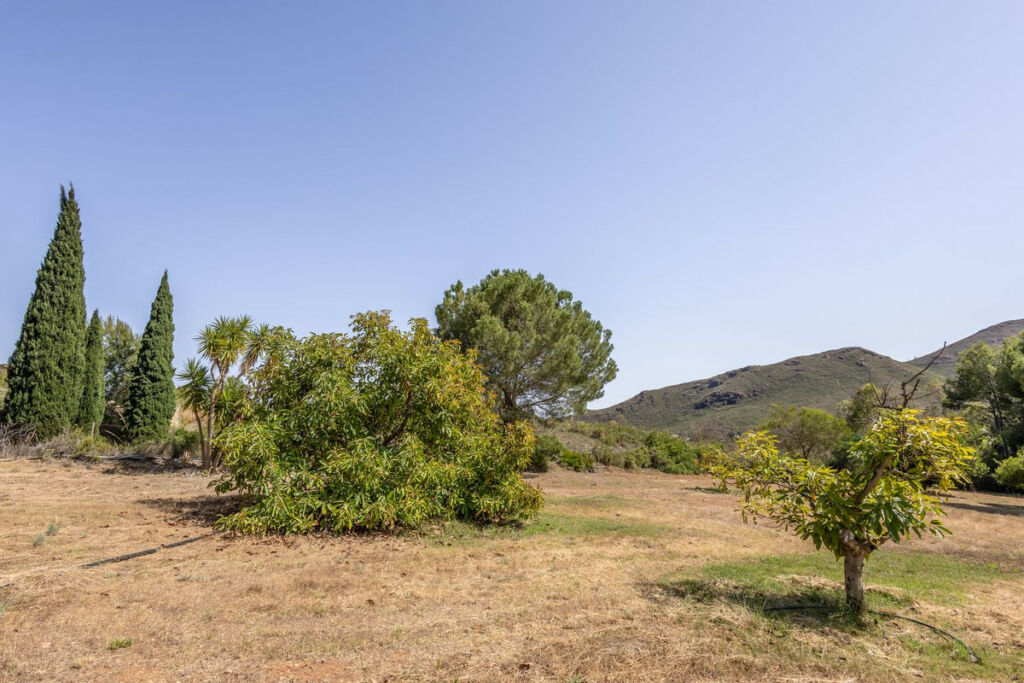 Detached Villa Alhaurín el Grande Málaga - image 47