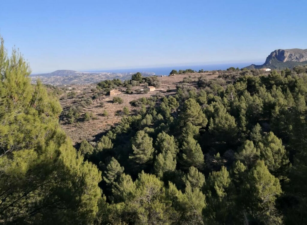 Land Bernia Alicante - image 5