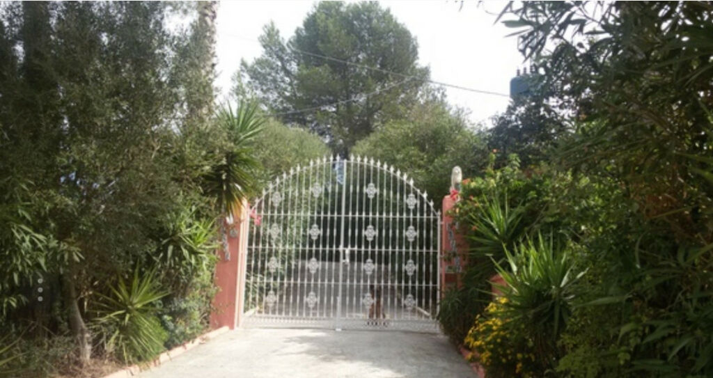 Finca - Cortijo San Martín de Tesorillo Cádiz - image 5