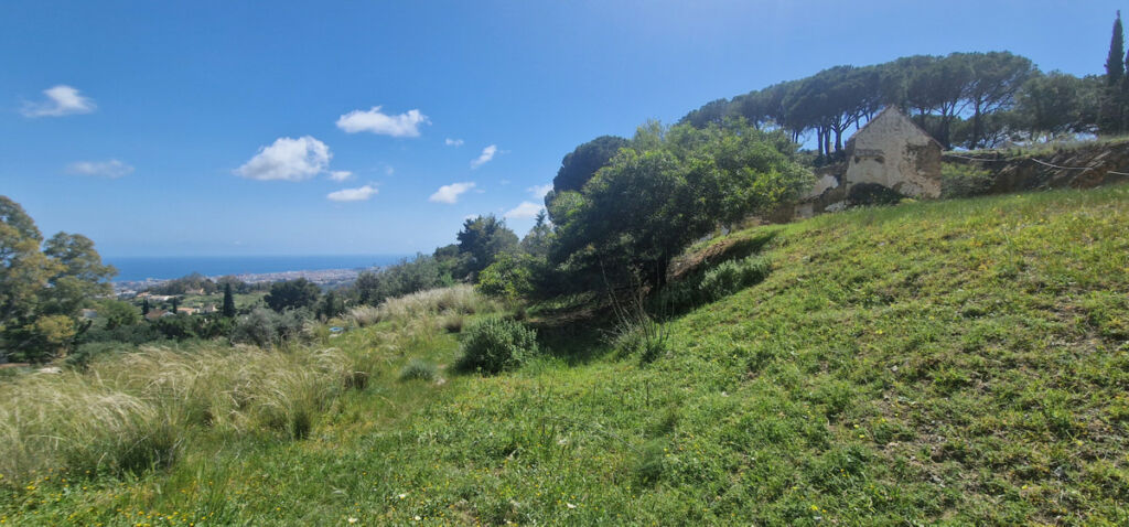 Residential Plot Mijas Málaga - image 5