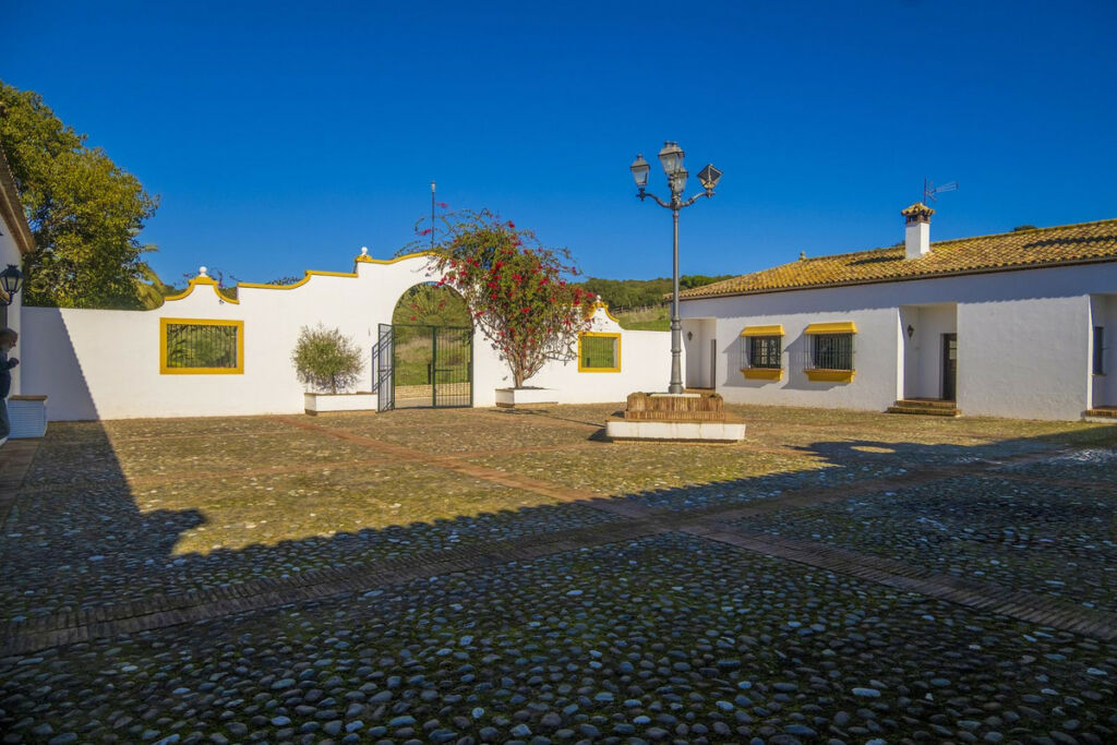 Finca - Cortijo Jimena de la Frontera Cádiz - image 5