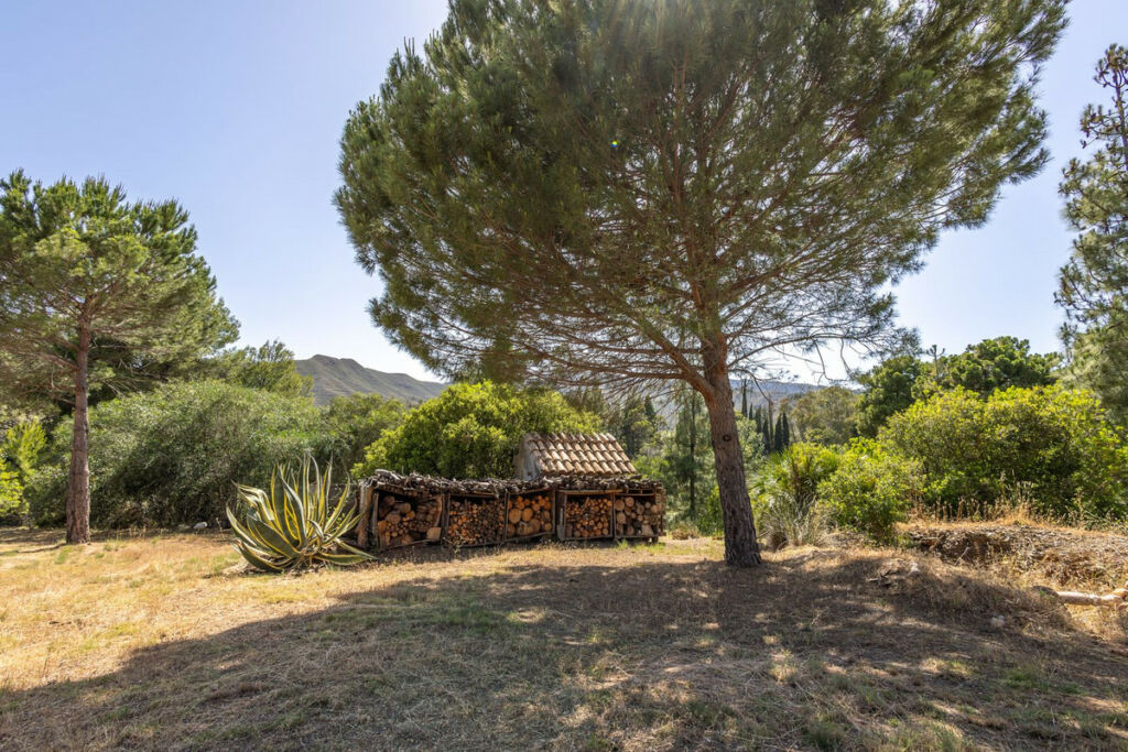Detached Villa Alhaurín el Grande Málaga - image 49