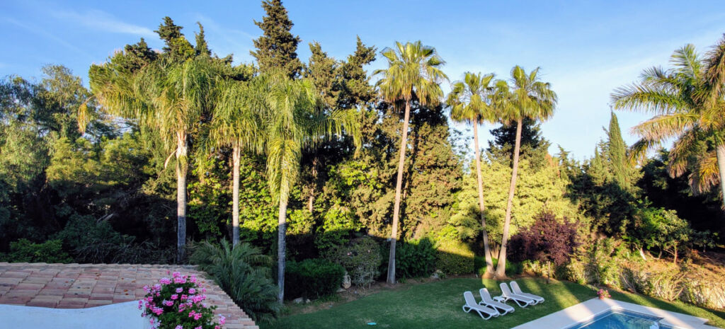 Detached Villa Guadalmina Baja Málaga - image 6