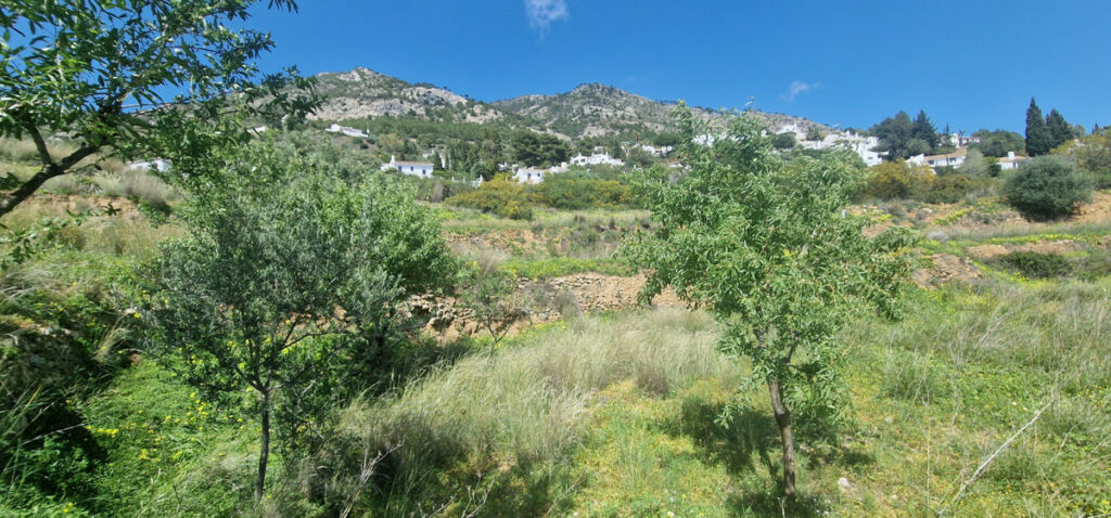 Residential Plot Mijas Málaga - image 6