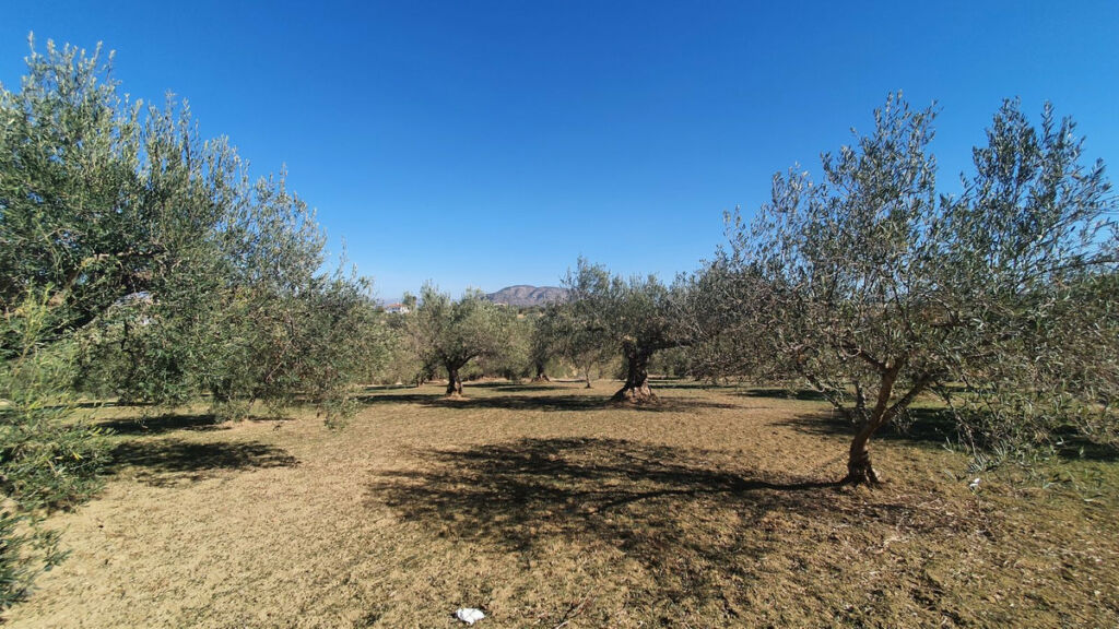 Land Alhaurín el Grande Málaga - image 6