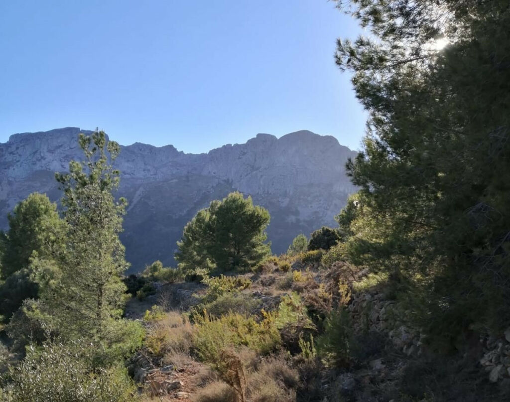 Land Bernia Alicante - image 6