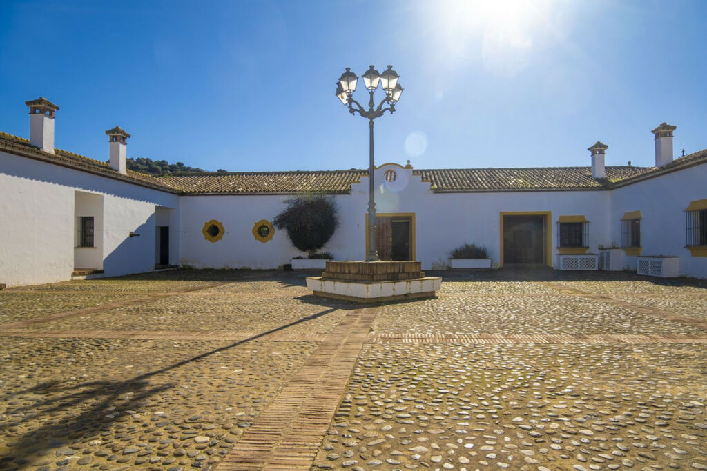 Finca - Cortijo Jimena de la Frontera Cádiz - image 6