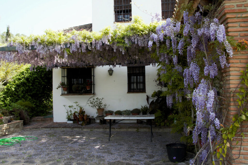 Detached Villa Jimena de la Frontera Cádiz - image 6