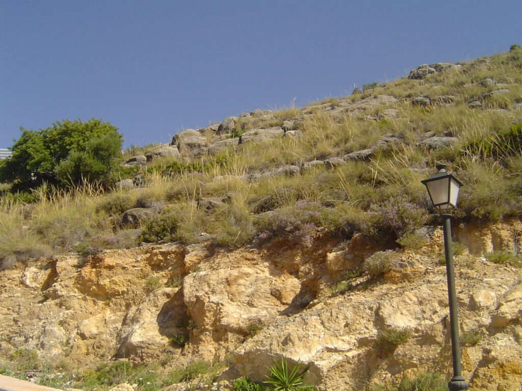 Land Coín Málaga - image 6