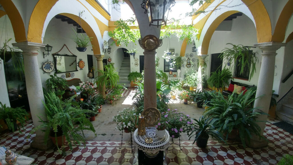 Middle Floor Apartment San Roque Cádiz - image 66