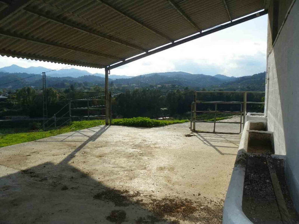 Finca - Cortijo Coín Málaga - image 8