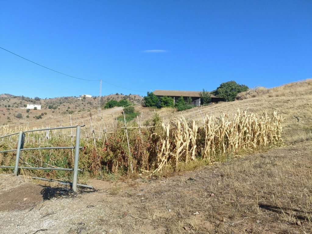 Finca - Cortijo Coín Málaga - image 73