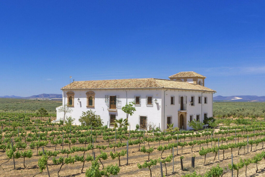 Finca - Cortijo Antequera Málaga - image 6
