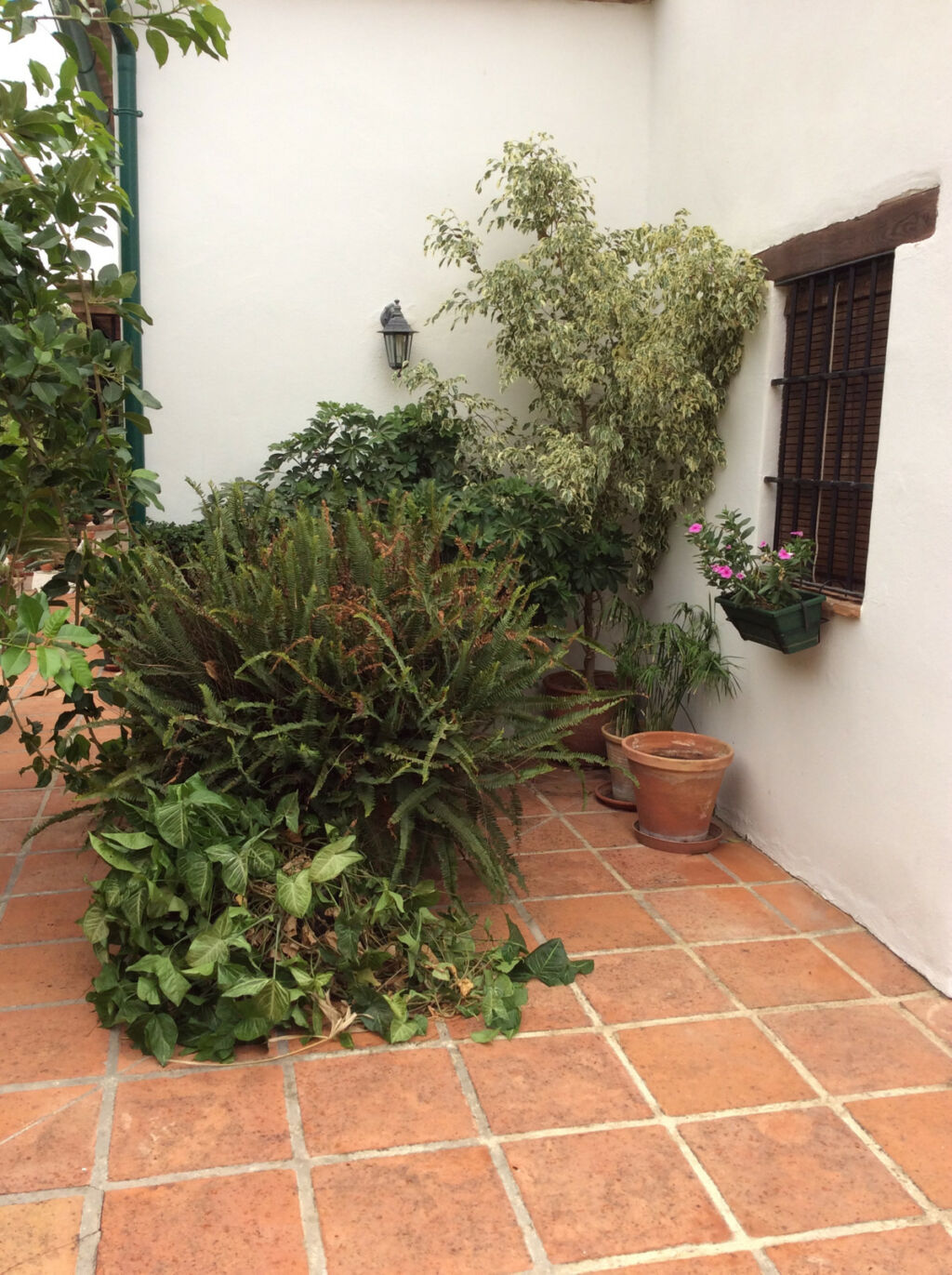 Detached Villa Jimena de la Frontera Cádiz - image 8