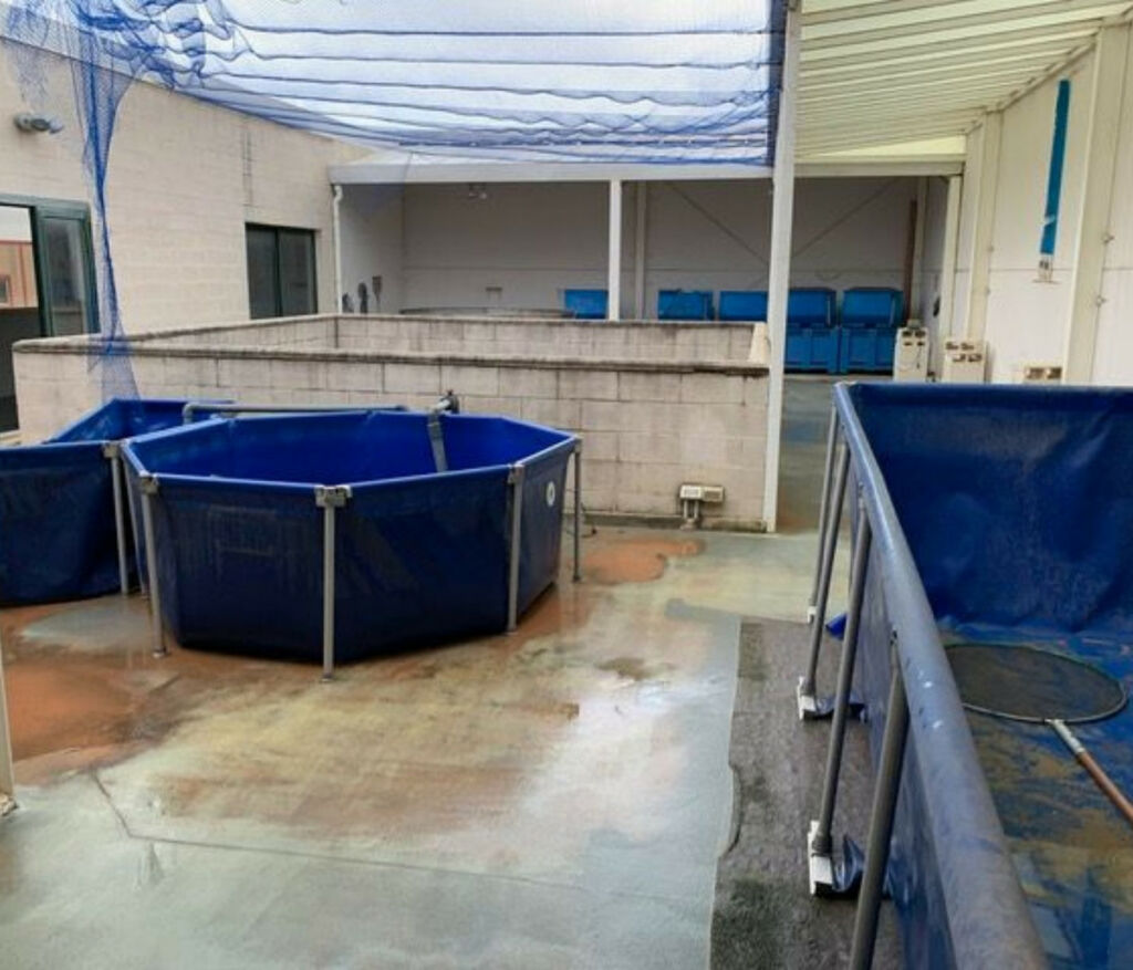 Apartment Complex Manilva Málaga - image 8