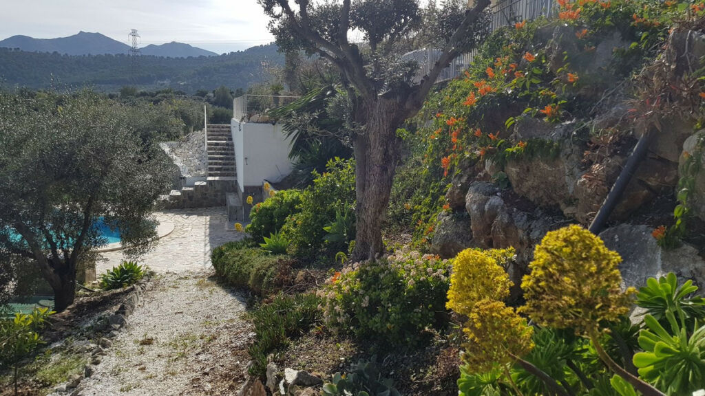 Detached Villa Monda Málaga - image 9