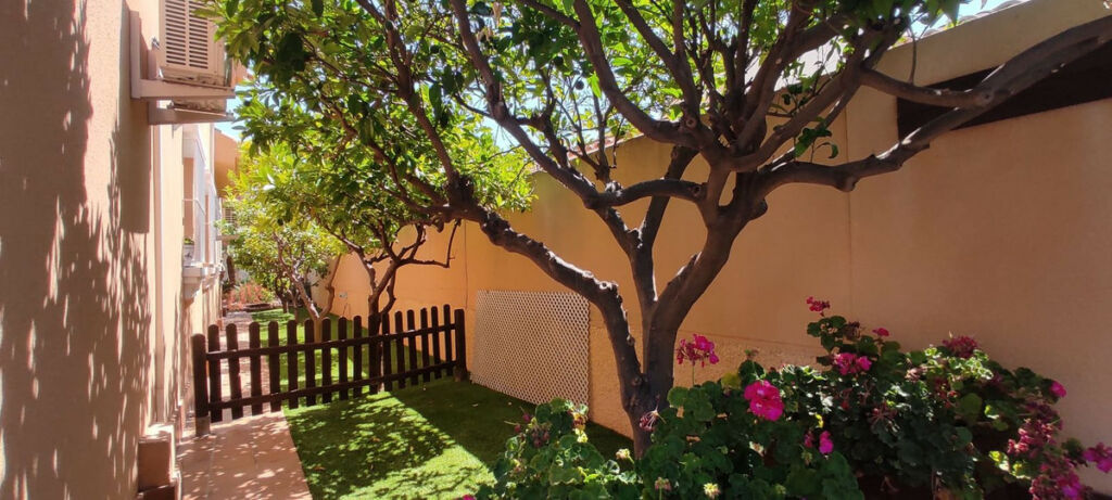 Detached Villa San Javier Murcia - image 9
