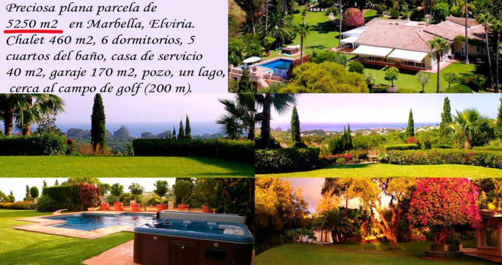 Detached Villa Elviria Málaga - image 3