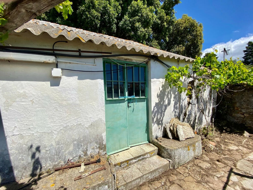Finca - Cortijo Tarifa Cádiz - image 10