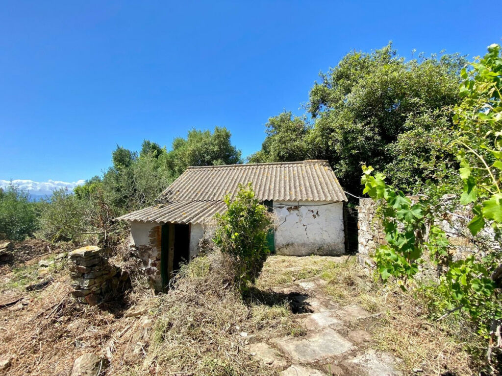 Finca - Cortijo Tarifa Cádiz - image 11