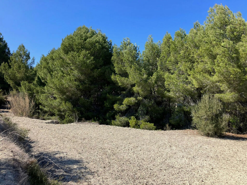Land Benissa Alicante - image 12