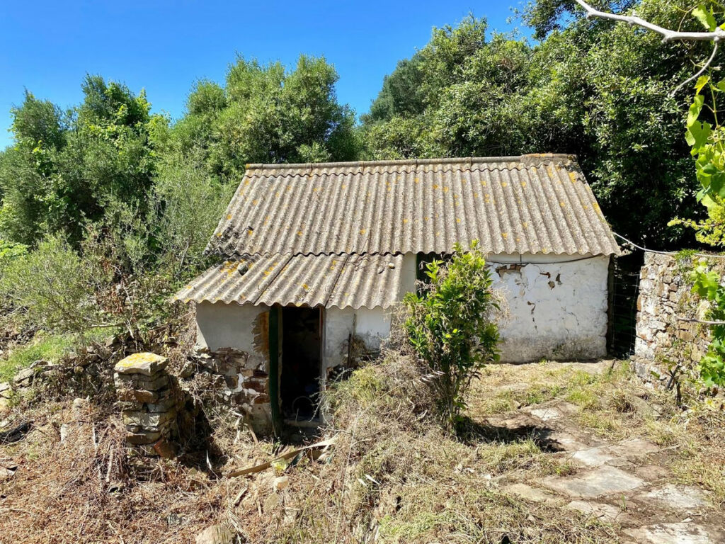 Finca - Cortijo Tarifa Cádiz - image 12