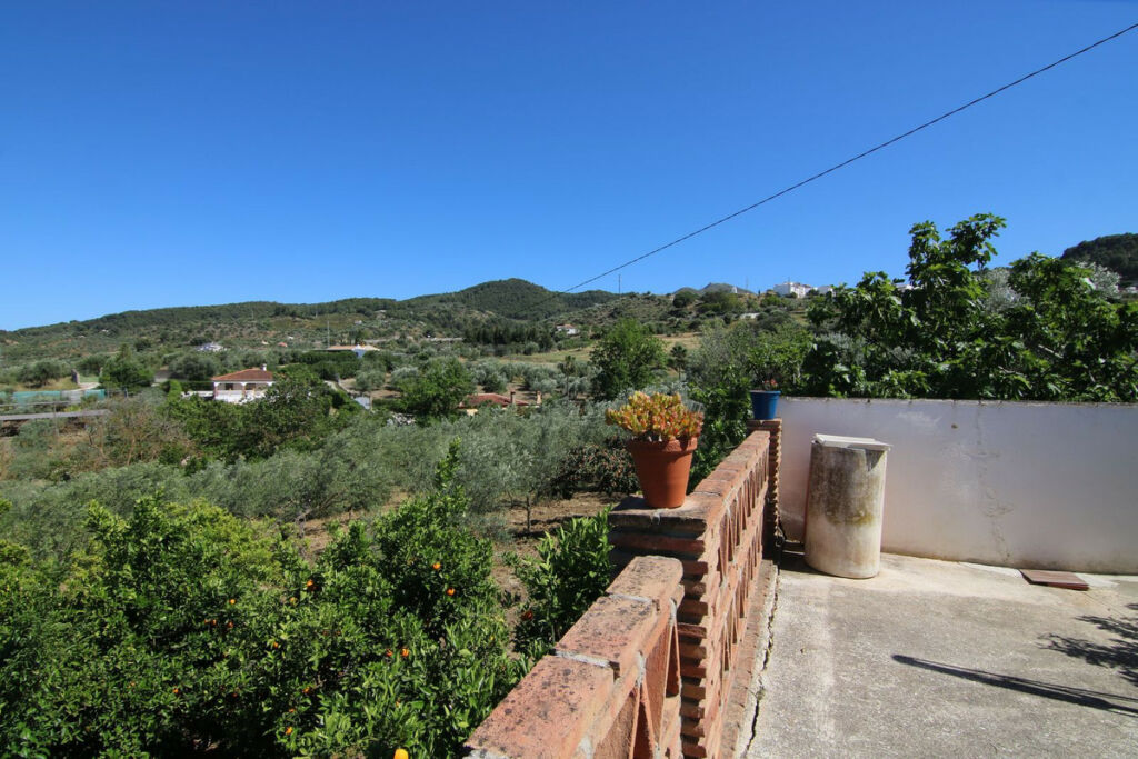 Finca - Cortijo Monda Málaga - image 13