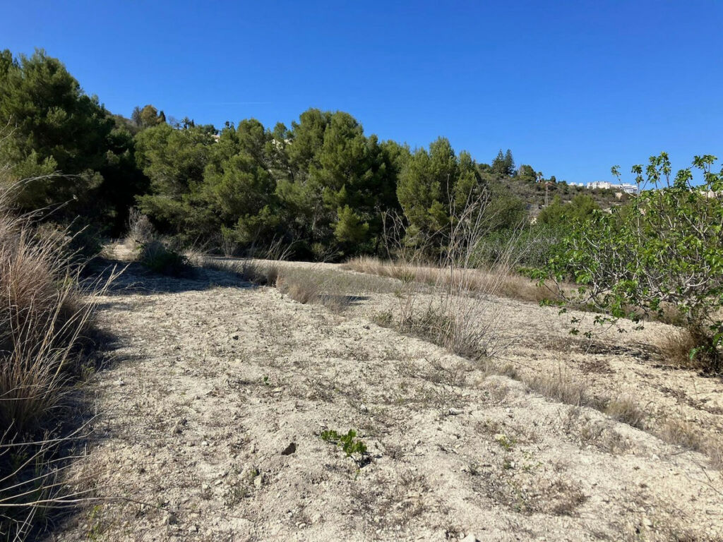 Land Benissa Alicante - image 13