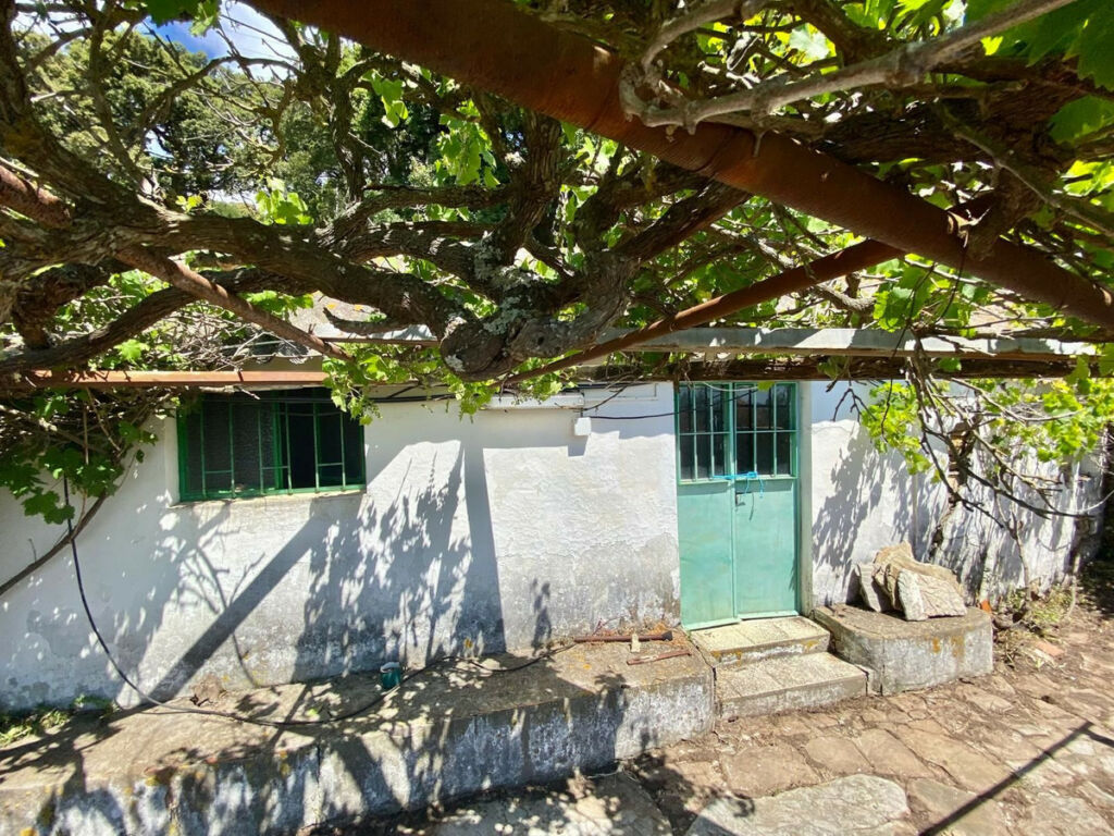 Finca - Cortijo Tarifa Cádiz - image 13