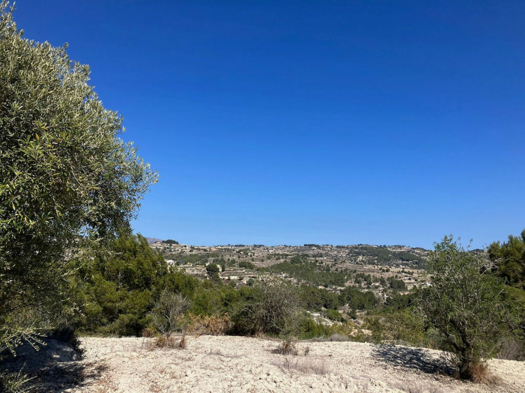 Land Benissa Alicante - image 14