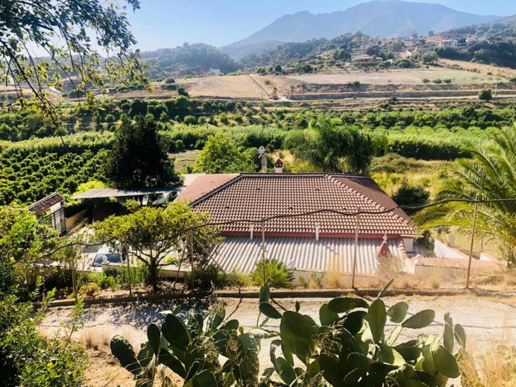 Finca - Cortijo Estepona Málaga - image 2