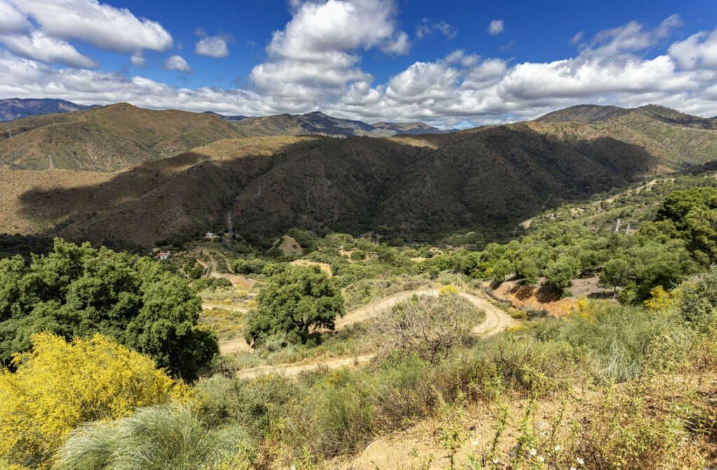 Land Benahavís Málaga - image 2