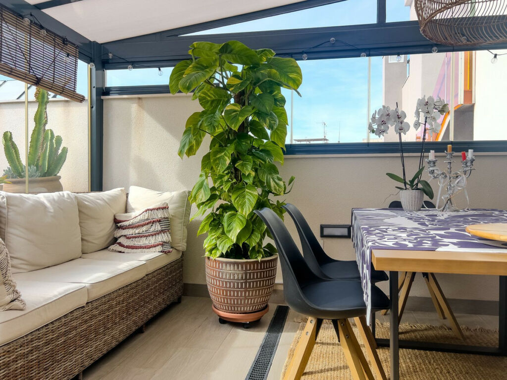 Top Floor Apartment Torrevieja Alicante - image 22