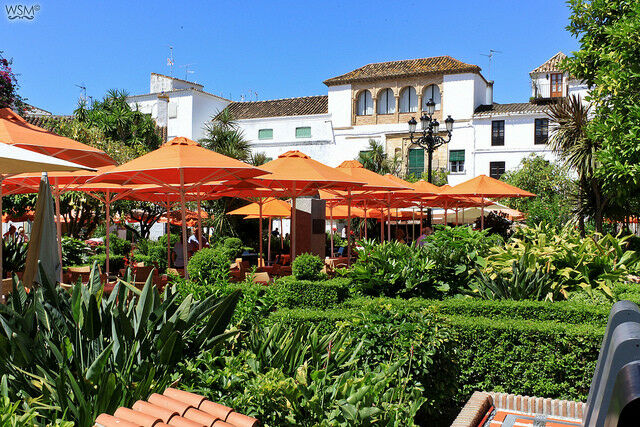 Middle Floor Apartment Marbella Málaga - image 24