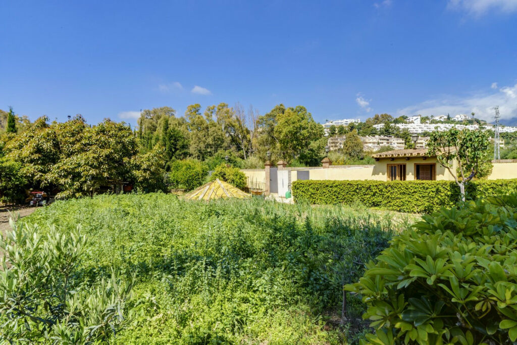 Detached Villa Benahavís Málaga - image 24