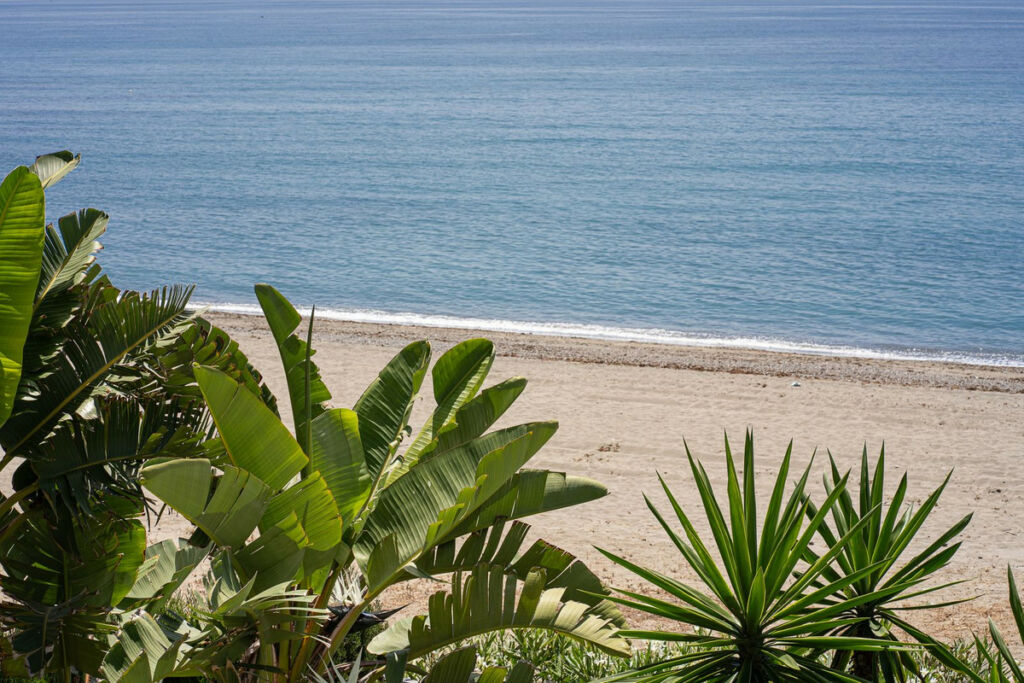 Middle Floor Apartment New Golden Mile Málaga - image 24