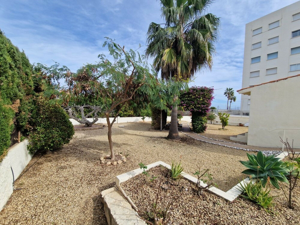 Middle Floor Apartment Albir Alicante - image 25