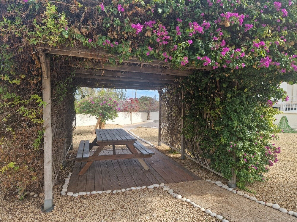 Middle Floor Apartment Albir Alicante - image 26