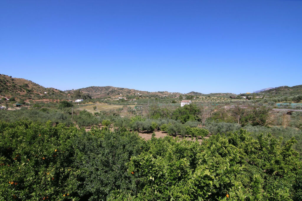Finca - Cortijo Monda Málaga - image 3
