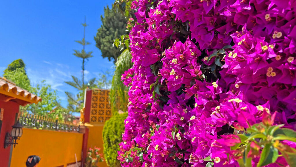 Detached Villa Reserva de Marbella Málaga - image 35