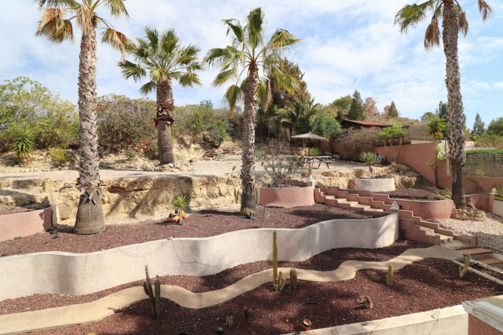 Detached Villa Algorfa Alicante - image 45