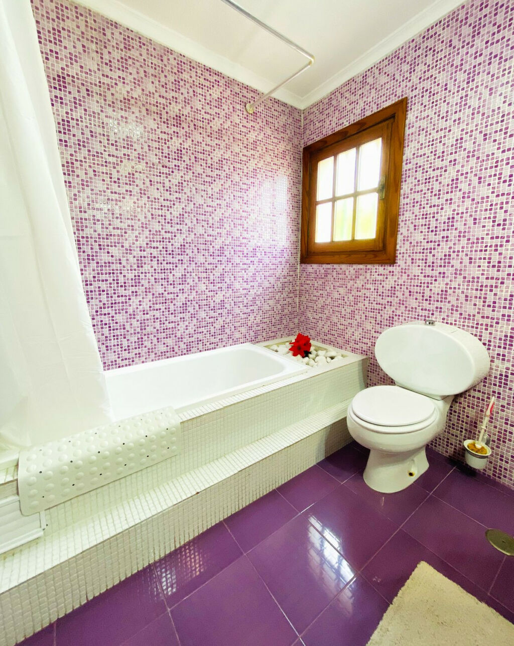 Detached Villa Guadacorte Cádiz - image 38