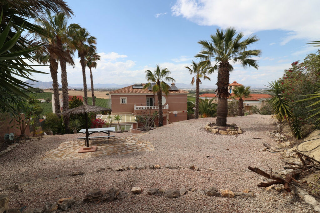 Detached Villa Algorfa Alicante - image 49