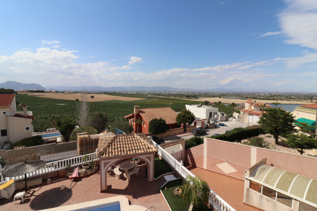 Detached Villa Algorfa Alicante - image 48