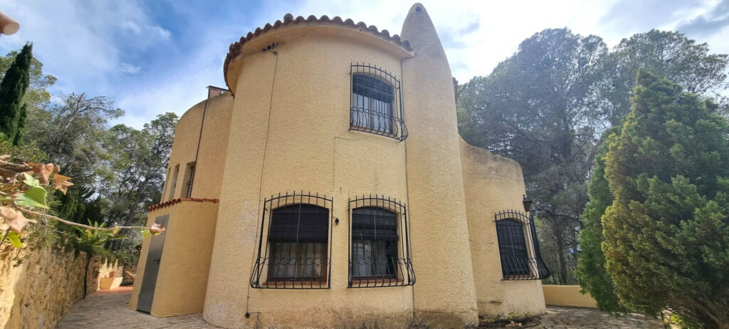 Detached Villa Altea Alicante - image 47