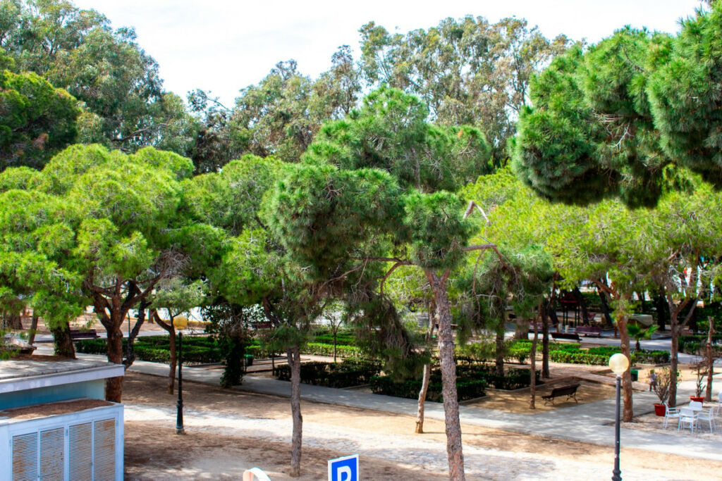 Townhouse Guardamar del Segura Alicante - image 49
