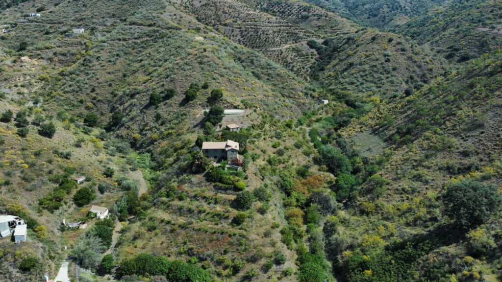 Detached Villa Moclinejo Málaga - image 50