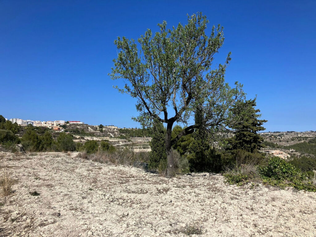 Land Benissa Alicante - image 6
