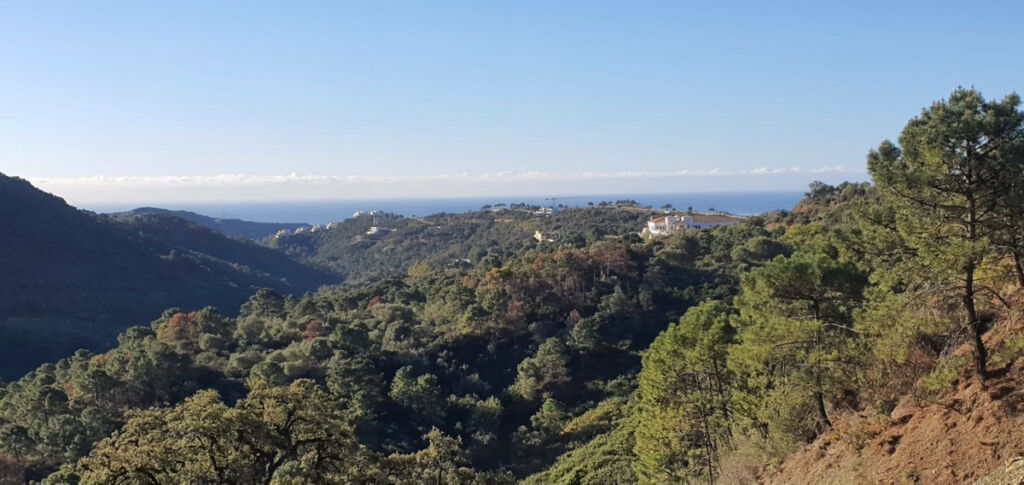 Detached Villa Benahavís Málaga - image 6